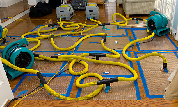 Professional Storm Water Damage Restoration technician working in Woodlawn, OH